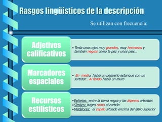 Rasgos lingüísticos de la descripción
•Tenía unos ojos muy grandes, muy hermosos y
también negros como la pez y unos pies…
Adjetivos
calificativos
• En medio, había un pequeño estanque con un
surtidor… Al fondo había un muro
Marcadores
espaciales
•Epítetos: entre la tierra negra y los ásperos arbustos
•Símiles: negro como el carbón
•Metáforas: el cepillo situado encima del labio superior
Recursos
estilísticos
Se utilizan con frecuencia:
 