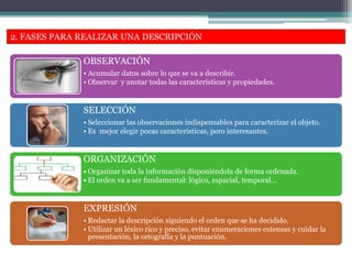 2. FASES PARA REALIZAR UNA DESCRIPCIÓN
OBSERVACIÓN
• Acumular datos sobre lo que se va a describir.
• Observar y anotar todas las características y propiedades.
SELECCIÓN
• Seleccionar las observaciones indispensables para caracterizar el objeto.
• Es mejor elegir pocas características, pero interesantes.
ORGANIZACIÓN
• Organizar toda la información disponiéndola de forma ordenada.
• El orden va a ser fundamental: lógico, espacial, temporal…
EXPRESIÓN
• Redactar la descripción siguiendo el orden que se ha decidido.
• Utilizar un léxico rico y preciso, evitar enumeraciones extensas y cuidar la
presentación, la ortografía y la puntuación.
 