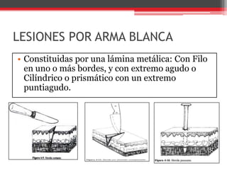 LESIONES POR ARMA BLANCAConstituidas por una lámina metálica: Con Filo en uno o más bordes, y con extremo agudo o Cilíndrico o prismático con un extremo puntiagudo. 