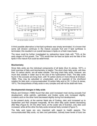 A third possible alternative is that lipid synthesis was simply terminated. It is known that
some cell division continues in the mature avocado fruit and if lipid synthesis is
terminated, this resulted in an overall decrease in lipids on a fresh mass basis.
The issue could be further investigated by radioactive tracer trials with 14
CO2 at the
early stages of fruit growth. The 14
CO2 would then be fixed as lipids and the fate of the
lipids in the mature fruit could be determined.
Biochemistry
Since fatty acids are the individual components of all lipids (Gurr & James, 1971), a
brief overview of fatty acid biochemistry is helpful. The short chain fatty acids, with less
than 10 carbon atoms, are all water soluble. The long chain fatty acids, however, are
much less soluble in water due to the size of the hydrocarbon chain. The fatty acids
found in the avocado are long chain, with 16 carbon atoms or more (Kikuta & Erickson,
1968). They may be saturated or unsaturated, and an example of the shorthand
notation for oleic acid, a monounsaturated 18 carbon fatty acid is (18: 1) (Gurr & James,
1971). The biosynthesis of fatty acids is very complex and will not be dealt with here.
Developmental changes in fatty acids
Kikuta and Erickson (1968) found that oleic acid increased most during avocado fruit
development, while palmitic, palmitoleic and linoleic acids only increased slightly.
Linolenic acid on the other hand decreased slightly during fruit development.
In the present study, at the warmer Natal site of Cooling, oleic acid increased up to
September and then dropped marginally. All the other fatty acids started decreasing
after May (Figure 6). On the other hand, at the cooler site of Everdon, only oleic acid
increased, while all the other the fatty acids remained fairly constant (Figure 7).
The fatty acid types are very important with regard to health aspects. The
monounsaturated fatty acids, viz oleic and palmitoleic, actively lower levels of toxic low
 