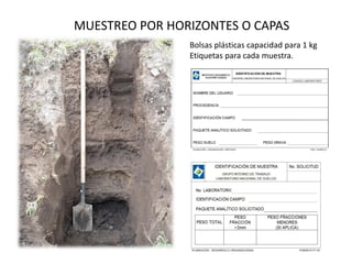 MUESTREO POR HORIZONTES O CAPAS
Bolsas plásticas capacidad para 1 kg
Etiquetas para cada muestra.
 