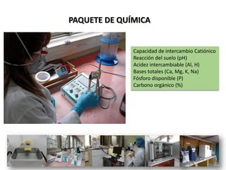 PAQUETE DE QUÍMICA
Capacidad de intercambio Catiónico
Reacción del suelo (pH)
Acidez intercambiable (Al, H)
Bases totales (Ca, Mg, K, Na)
Fósforo disponible (P)
Carbono orgánico (%)
 