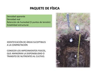 PAQUETE DE FÍSICA
Densidad aparente
Densidad real
Retención de humedad (5 puntos de tensión)
Estabilidad estructural.
IDENTIFICACIÓN DE ÁREAS SUCEPTIBLES
A LA COMPACTACIÓN
CONOCER LOS IMPEDIMIENTOS FISICOS,
QUE AMINORAN LA DISPONIBILIDAD O
TRANSITO DE NUTRIENTES AL CULTIVO.
 
