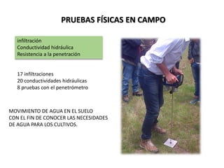 PRUEBAS FÍSICAS EN CAMPO
infiltración
Conductividad hidráulica
Resistencia a la penetración
17 infiltraciones
20 conductividades hidráulicas
8 pruebas con el penetrómetro
MOVIMIENTO DE AGUA EN EL SUELO
CON EL FIN DE CONOCER LAS NECESIDADES
DE AGUA PARA LOS CULTIVOS.
 