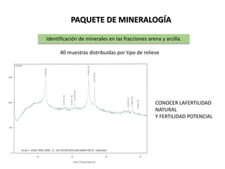 PAQUETE DE MINERALOGÍA
Identificación de minerales en las fracciones arena y arcilla.
40 muestras distribuidas por tipo de relieve
CONOCER LAFERTILIDAD
NATURAL
Y FERTILIDAD POTENCIAL
 