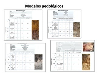 Modelos pedológicos
 