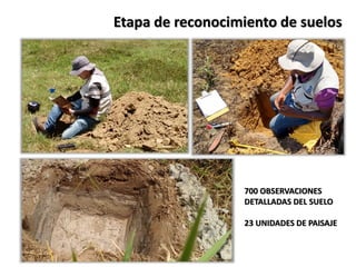 Etapa de reconocimiento de suelos
700 OBSERVACIONES
DETALLADAS DEL SUELO
23 UNIDADES DE PAISAJE
 