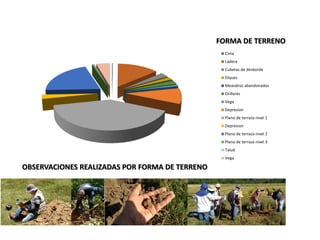 Cima
Ladera
Cubetas de desborde
Diques
Meandros abandonados
Orillares
Vega
Depresion
Plano de terraza nivel 1
Depresion
Plano de terraza nivel 2
Plano de terraza nivel 3
Talud
Vega
FORMA DE TERRENO
OBSERVACIONES REALIZADAS POR FORMA DE TERRENO
 