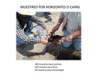 MUESTREO POR HORIZONTES O CAPAS
180 muestras para química
240 muestra para física
30 muestras para mineralogía
 