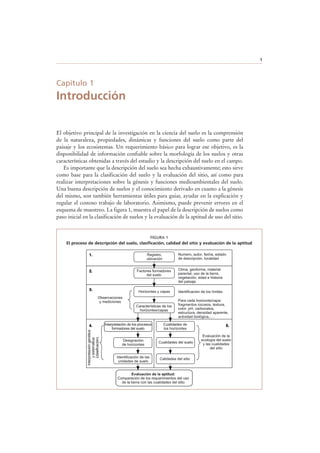 1
Capítulo 1
Introducción
El objetivo principal de la investigación en la ciencia del suelo es la comprensión
de la naturaleza, propiedades, dinámicas y funciones del suelo como parte del
paisaje y los ecosistemas. Un requerimiento básico para lograr ese objetivo, es la
disponibilidad de información confiable sobre la morfología de los suelos y otras
características obtenidas a través del estudio y la descripción del suelo en el campo.
Es importante que la descripción del suelo sea hecha exhaustivamente; esto sirve
como base para la clasificación del suelo y la evaluación del sitio, así como para
realizar interpretaciones sobre la génesis y funciones medioambientales del suelo.
Una buena descripción de suelos y el conocimiento derivado en cuanto a la génesis
del mismo, son también herramientas útiles para guiar, ayudar en la explicación y
regular el costoso trabajo de laboratorio. Asimismo, puede prevenir errores en el
esquema de muestreo. La figura 1, muestra el papel de la descripción de suelos como
paso inicial en la clasificación de suelos y la evaluación de la aptitud de uso del sitio.
1.
2.
3.
4. 5.
Registro,
ubicación
Factores formadores
del suelo
Horizontes y capas
Características de los
horizontes/capas
Observaciones
y mediciones
Interpretacióngenética
ysistemática
(clasificación)
Evaluación de la
ecología del suelo
y las cualidades
del sitio
Clima, geoforma, material
parental, uso de la tierra,
vegetación, edad e historia
del paisaje
Numero, autor, fecha, estado
de descripción, localidad
Identificación de los límites
Para cada horizonte/capa:
fragmentos rocosos, textura,
color, pH, carbonatos,
estructura, densidad aparente,
actividad biológica,.…
Interpretación de los procesos
formadores del suelo
Cualidades de
los horizontes
Designación
de horizontes
Identificación de las
unidades de suelo
Evaluación de la aptitud:
Comparación de los requerimientos del uso
de la tierra con las cualidades del sitio
Calidades del sitio
Cualidades del suelo
FIGURA 1
El proceso de descripción del suelo, clasificación, calidad del sitio y evaluación de la aptitud
 