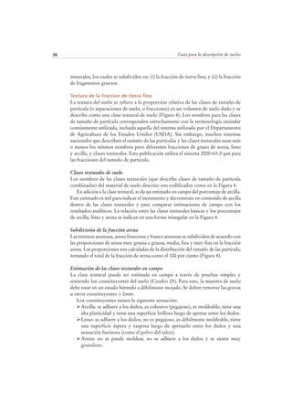 Guía para la descripción de suelos26
minerales, los cuales se subdividen en: (i) la fracción de tierra fina; y (ii) la fracción
de fragmentos gruesos.
Textura de la fracción de tierra fina
La textura del suelo se refiere a la proporción relativa de las clases de tamaño de
partícula (o separaciones de suelo, o fracciones) en un volumen de suelo dado y se
describe como una clase textural de suelo (Figura 4). Los nombres para las clases
de tamaño de partícula corresponden estrechamente con la terminología estándar
comúnmente utilizada, incluida aquella del sistema utilizado por el Departamento
de Agricultura de los Estados Unidos (USDA). Sin embargo, muchos sistemas
nacionales que describen el tamaño de las partículas y las clases texturales usan más
o menos los mismos nombres pero diferentes fracciones de grano de arena, limo
y arcilla, y clases texturales. Esta publicación utiliza el sistema 2000-63-2-μm para
las fracciones del tamaño de partícula.
Clases texturales de suelo
Los nombres de las clases texturales (que describe clases de tamaño de partícula
combinadas) del material de suelo descrito son codificados como en la Figura 4.
En adición a la clase textural, se da un estimado en campo del porcentaje de arcilla.
Este estimado es útil para indicar el incremento y decremento en contenido de arcilla
dentro de las clases texturales y para comparar estimaciones de campo con los
resultados analíticos. La relación entre las clases texturales básicas y los porcentajes
de arcilla, limo y arena se indican en una forma triangular en la Figura 4.
Subdivisión de la fracción arena
Las texturas arenosas, areno francosas y franco arenosas se subdividen de acuerdo con
las proporciones de arena muy gruesa a gruesa, media, fina y muy fina en la fracción
arena. Las proporciones son calculadas de la distribución del tamaño de las partícula,
tomando el total de la fracción de arena como el 100 por ciento (Figura 4).
Estimación de las clases texturales en campo
La clase textural puede ser estimada en campo a través de pruebas simples y
sintiendo los constituyentes del suelo (Cuadro 25). Para esto, la muestra de suelo
debe estar en un estado húmedo a débilmente mojado. Se deben remover las gravas
u otros constituyentes > 2mm.
Los constituyentes tienen la siguiente sensación:
Arcilla: se adhiere a los dedos, es cohesivo (pegajoso), es moldeable, tiene una
alta plasticidad y tiene una superficie brillosa luego de apretar entre los dedos.
Limo: se adhiere a los dedos, no es pegajoso, es débilmente moldeable, tiene
una superficie áspera y rasposa luego de apretarlo entre los dedos y una
sensación harinosa (como el polvo del talco).
Arena: no se puede moldear, no se adhiere a los dedos y se siente muy
granuloso.
 