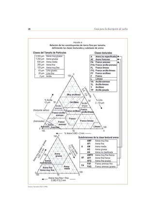 Guía para la descripción de suelos28
Fuente: Secundo FAO (1990)
(Arenosoles)
(Horizonte vértico)
FA
A
AF
AMF
AFi
AM
AG
AN
AMFR
AFF
AFG
FAF
FAG
2 000 μm
1 250 μm
630 μm
200 μm
125 μm
63 μm
20 μm
2 μm
Subdivisiones de la clase textural arena
Clases texturalesClases del Tamaño de Partículas
% Arcilla
<2 μm
% Limo
2 – 63 μm
% Arena 0.063 – 2 mm
Arcilloso
Franco arcilloso
Franco
arcillo-limoso
Arcillo-
arenoso
Franco arcillo-
arenoso
Franco
Franco limoso
Limoso
Franco
arenoso
Arenoso
Arcillo-
limoso
(Muy arcilloso)
0
50
100
0
50
100
050100
Limoso/arcilla
0.4
0.6
Arena fina
Arena muy fina
Arena
media
Arena
gruesa
Arenamuygruesa+gruesa
0.63–2mm
Arenamedia
0.2–0.63mm
Arena muy fina + fina
0.063 ñ 0.2 mm
0
50
1000
50
100
050100
Areno
Arena
no ordenada
Arena muy gruesa
Arena gruesa
Arena media
Arena fina
Arena muy fina
Limo grueso
Limo fino
Arcilla
A
AF
FA
FYA
FL
FYL
FY
F
L
YA
YL
Y
YP
Arena (no especificado)
Areno francoso
Franco arenoso
Franco arcillo-arenoso
Franco limoso
Franco arcillo-limoso
Franco arcilloso
Franco
Limoso
Arcillo-arenoso
Arcillo-limoso
Arcilloso
Arcilla pesada
francoso
Arena muy fina
Arena fina
Arena media
Arena gruesa
Arena no clasificada
Arena muy fina franca
Arena fina franca
Arena fina gruesa
Franco arenoso fino
Franco arenoso grueso
FIGURA 4
Relación de los constituyentes de tierra fina por tamaño,
definiendo las clases texturales y subclases de arena
 