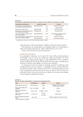 Guía para la descripción de suelos38
+224 milivoltios a 10ºC de Ag/AgCl en 1 MKCl, +287 de electrodo Calomel).
Para propósitos de interpretación, los resultados deben ser transformados a
valores rH usando la fórmula: rH = 2pH + 2Eh/59 (Eh en mV a 25 ºC).
Anotar el valor de rH en la hoja de descripción.
Condiciones reductoras
Las propiedades reductoras de la matriz del suelo refleja permanentemente
la humedad o por lo menos las condiciones reductoras (Cuadro 37). Están
expresados por colores neutros (blanco y negro: Munsell N1 a N) o azulados a
verduzcos (Munsell 2.5Y, 5Y, 5G, 5B). El patrón del color cambia a menudo por la
aireación en minutos a días debido a los procesos de oxidación.
La presencia de iones Fe2 puede ser probada rociando la superficie recién
expuesta del suelo con una solución ∞, ∞ dipiridil al 0,2 por ciento de (M/V) en
un solución de ácido acético al 10-por ciento (V/V). La prueba produce un color
rojizo-anaranjado en presencia de iones Fe2 pero no dan un color rojo fuerte en
materiales de suelo con una reacción neutra o alcalina. Es necesario tener cuidado
ya que el químico es ligeramente tóxico.
* Para pruebas de campo, ver sección sobre condiciones reductoras (abajo).
CUADRO 36
Características redoximorficas del suelo y su relación con los valores rH y procesos en el suelo
Características redoximorficas valores rH y estado Procesos
Sin características redoximórficas a
potenciales permanentemente altos
permanentemente > 35
< 33
fuertemente aireado
reducción NO3ˉ
Concreciones negras de Mn temporalmente < 29 formación de Mn²
Moteados y/o concreciones pardas de
Fe, en condiciones húmedas
temporalmente < 20 formación de Fe²
Color verde azulado a plomo; iones
Fe² siempre presente
permanentemente 13–19 formación de óxidos de Fe²/Fe³
(sarro verde)*
Color negro debido a metales sulfuros,
presencia de metano flamable.
permanentemente < 13 formación de sulfuro
formación de metanopermanentemente < 10
CUADRO 37
Patrones de color reductimórfico y ocurrencia de compuestos de Fe
Color Color Munsell Fórmula Mineral
Verde grisáceo, azul claro 5–GY–5–B2–3/1–3 Fe2/Fe3 Compuestos de Fe mezclado
(óxidos verde-azulados)
Blanco, pardo luego de la
oxidación N7–8 → 10 YR4/5 Fe2CO3 Siderita
Blanco, azul luego de la
oxidación N7–8 → 5–B Fe2
3(PO4)2 · 8 H2O Vivianita
Negro azulado (con 10%HCl;
olor a H2S)
5–10–B1–2/1–3
FeS, FeS2
(or Fe3S4)
sulfuros de Fe
Blanco, después de oxidación
blanco N8 → N8 - - Perdida completa de compuestos de Fe
Fuente: Schlichting et al.(1995).
 