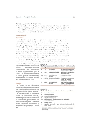 Capítulo 4 – Descripción de suelos 39
Notas para propósitos de clasificación
Un valor rH < 20 es diagnóstico para condiciones reductoras en: Gleisoles,
Planosoles y Estagnosoles, y niveles bajos de unidades estágnicas y gléicas de
otros GRSs. Las emisiones gaseosas (metano, dióxido de carbono, etc.) son
diagnóstico para el calificador Redúctico.
CARBONATOS
Contenido
Los carbonatos en los suelos son ya sea residuos del material parental o el
resultado de la neo-formación (carbonatos secundarios). Estos últimos se concentran
principalmente en forma de cal polvorienta suave, barnices o revestimientos en los
agregados (peds) o agregados, concreciones, costras superficiales o en el subsuelo, o
bancos sólidos. La presencia de carbonato de calcio (CaCO3) se establece a través de
la adición al suelo de gotas de HCl (ácido clorhídrico) al 10-por ciento. El grado de
efervescencia del gas de dióxido de carbono es indicativo de la cantidad de carbonato
de calcio presente en el suelo. En muchos suelos, es difícil distinguir en campo entre
carbonatos primarios y secundarios. Las clases para la reacción de carbonatos en la
matriz del suelo se definen en el Cuadro 38.
La reacción al ácido depende de la textura del suelo y es usualmente más vigoroso
en material arenoso que en materiales de textura fina con el mismo contenido de
carbonato. Otros materiales, como
las raíces, también dan una reacción
auditiva. La Dolomita reacciona
comúnmente más lentamente
y menos vigorosamente que la
calcita. Los carbonatos secundarios
se deben probar separadamente;
normalmente reaccionan mucho
más intensamente con HCl.
Formas
Las formas de los carbonatos
secundariosenlossuelossondiversas
y se consideran informativos en los
diagnósticos de la génesis del suelo.
Las concentraciones de carbonatos
suaves se consideran iluviales,
mientras que las concreciones duras
se consideran generalmente de
naturaleza hidrogénica. Las formas
de los carbonatos secundarios se
deben indicar siguiendo el Cuadro
39.
CUADRO 38
Clasificación de la reacción del carbonato en la matriz del suelo
%
N 0 No calcáreo No detectable visiblemente
ni efervescencia audible
SL ≈ 0–2 Ligeramente calcáreo Se escucha la efervescencia
pero no es visible
MO ≈ 2–10 Moderadamente
calcáreo
Efervescencia visible
ST ≈ 10–25 Fuertemente calcáreo Efervescencia fuertemente
visible. Las burbujas
forman poca espuma
EX ≈ > 25 Extremadamente
calcáreo
Reacción extremadamente
fuerte. Se forma la espuma
espesa rápidamente
CUADRO 39
Clasificación de las formas de los carbonatos secundarios
* Carbonatos de pseudomicelio no se consideran como “carbonatos
secundarios” si migran estacionalmente y no tienen profundidad
permanente.
SC concreciones suaves
HC concreciones duras
HHC concreciones duras huecas
D cal polvorienta dispersa
PM pseudomicelio* (poros rellenados con carbonatos,
parecido al micelio)
M capa de greda
HL capa dura cementada o capas de carbonatos (menos de 10
cm de grosor)
 