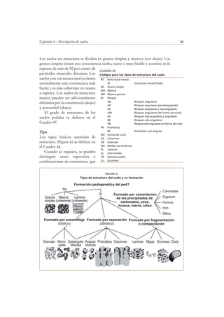 Capítulo 4 – Descripción de suelos 47
Los suelos sin estructura se dividen en granos simples y masivos (ver abajo). Los
granos simples tienen una consistencia suelta, suave o muy friable y consiste en la
ruptura de más de 50 por ciento de
partículas minerales discretas. Los
suelos con estructura masiva tienen
normalmente una consistencia más
fuerte y es más coherente en cuanto
a ruptura. Los suelos de estructura
masiva pueden ser adicionalmente
definidos por la consistencia (abajo)
y porosidad (abajo).
El grado de estructura de los
suelos pedales se definen en el
Cuadro 47.
Tipo
Los tipos básicos naturales de
estructura (Figura 6) se definen en
el Cuadro 48.
Cuando se requiera, se pueden
distinguir casos especiales o
combinaciones de estructuras, que
No
Si
Caronates
Gypsum
Humus
Iron
Silica
Formado por fragmentación
o compactación
Formado por cementacion
de los precipitados de:
carbonatos, yeso,
humus, hierro, sílice
Formación pedogenetica del ped?
Formado por separación
(abiótico)
Formado por ensamblaje
(biótico)
Granular Worm-
casts
Granos
simples
Masiva
(coherente)
Laminar
(coherente)
Subangular
blocosa
Angular
blocosa
Prismática Columnar Laminar Migas Grumosa Clody
FIGURA 6
Tipos de estructura del suelo y su formación
RS Estructura rocosa
SS Estructura estratificada
SG Grano simple
MA Masiva
PM Masiva porosa
BL Bloque
AB Bloques angulares
AP Bloques angulares (paralelepípedo)
AS Bloques angulares y sub-angulares
AW Bloques angulares (de forma de cuña)
SA Bloques sub-angulares y angulares
SB Bloques sub-angulares
SN Bloques sub-angulares en forma de nuez
PR Prismática
PS Prismática sub-angular
WE Forma de cuña
CO Columnar
GR Granular
WC Moldes de lombrices
PL Laminar
CL Aterronado
CR Desmenuzable
LU Grumoso
CUADRO 49
Códigos para los tipos de estructura del suelo
 