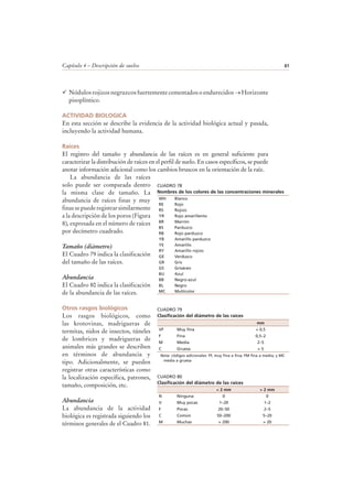 Capítulo 4 – Descripción de suelos 61
Nódulos rojizos negruzcos fuertemente cementados o endurecidos → Horizonte
pisoplíntico.
ACTIVIDAD BIOLOGICA
En esta sección se describe la evidencia de la actividad biológica actual y pasada,
incluyendo la actividad humana.
Raíces
El registro del tamaño y abundancia de las raíces es en general suficiente para
caracterizar la distribución de raíces en el perfil de suelo. En casos específicos, se puede
anotar información adicional como los cambios bruscos en la orientación de la raíz.
La abundancia de las raíces
solo puede ser comparada dentro
la misma clase de tamaño. La
abundancia de raíces finas y muy
finassepuederegistrarsimilarmente
a la descripción de los poros (Figura
8), expresada en el número de raíces
por decímetro cuadrado.
Tamaño (diámetro)
El Cuadro 79 indica la clasificación
del tamaño de las raíces.
Abundancia
El Cuadro 80 indica la clasificación
de la abundancia de las raíces.
Otros rasgos biológicos
Los rasgos biológicos, como
las krotovinas, madrigueras de
termitas, nidos de insectos, túneles
de lombrices y madrigueras de
animales más grandes se describen
en términos de abundancia y
tipo. Adicionalmente, se pueden
registrar otras características como
la localización especifica, patrones,
tamaño, composición, etc.
Abundancia
La abundancia de la actividad
biológica es registrada siguiendo los
términos generales de el Cuadro 81.
CUADRO 78
Nombres de los colores de las concentraciones minerales
WH Blanco
RE Rojo
RS Rojizo
YR Rojo amarillento
BR Marrón
BS Parduzco
RB Rojo parduzco
YB Amarillo parduzco
YE Amarillo
RY Amarillo rojizo
GE Verdusco
GR Gris
GS Grisáceo
BU Azul
BB Negro-azul
BL Negro
MC Multicolor
CUADRO 79
Clasificación del diámetro de las raíces
mm
VF Muy fina < 0,5
F Fina 0,5–2
M Media 2–5
C Gruesa > 5
Nota: códigos adicionales: FF, muy fina a fina; FM fina a media; y MC
media a gruesa
CUADRO 80
Clasificación del diámetro de las raíces
< 2 mm > 2 mm
N Ninguna 0 0
V Muy pocas 1–20 1–2
F Pocas 20–50 2–5
C Común 50–200 5–20
M Muchas > 200 > 20
 