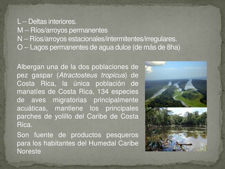Descripcion ecologica del humedal caribe noreste de costa rica, dic 2…