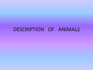 DESCRIPTION OF ANIMALS
 