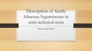 Description of family
fabaceae/leguminosae in
semi technical term
Dambar Singh Khatri
 