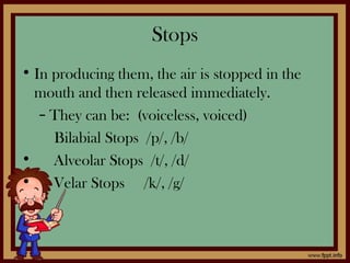 Stops
• In producing them, the air is stopped in the
mouth and then released immediately.
– They can be: (voiceless, voiced)
Bilabial Stops /p/, /b/
• Alveolar Stops /t/, /d/
• Velar Stops /k/, /g/
 