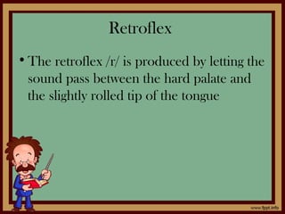 Retroflex
•The retroflex /r/ is produced by letting the
sound pass between the hard palate and
the slightly rolled tip of the tongue
 
