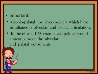 • Important:
• Alveolo-palatal (or alveo-palatal) which have
simultaneous alveolar and palatal articulation.
• In the official IPA chart, alveo-palatals would
appear between the alveolar
and palatal consonants
 