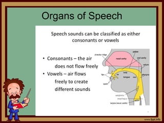 Organs of Speech
 