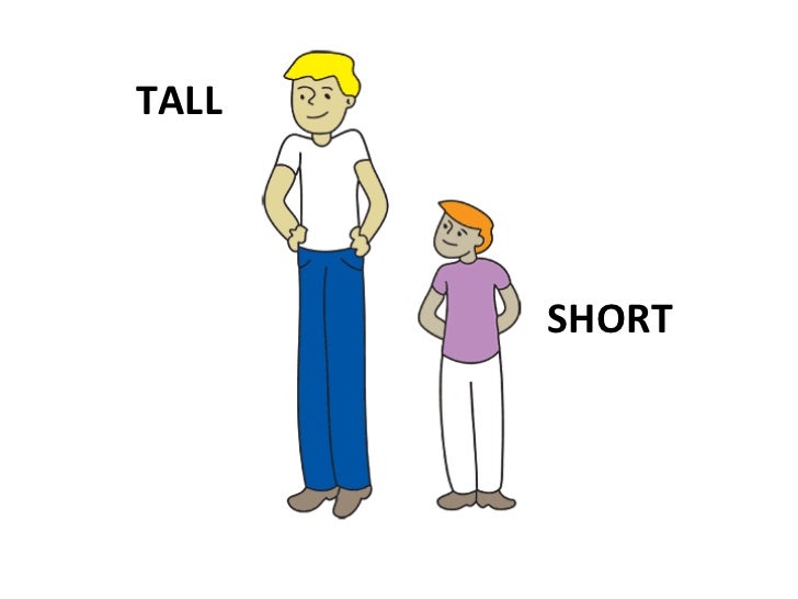 Tall or Short | Fort Hill Integrated Primary School