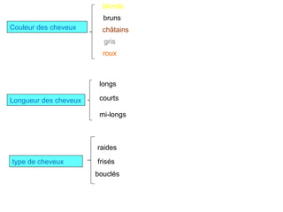 Couleur des cheveux blonds châtains bruns gris roux Longueur des cheveux longs courts mi-longs type de cheveux bouclés raides frisés 