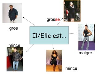 Il/Elle est… gros maigre mince mince gros se 
