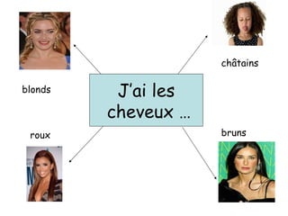 J’ai les cheveux … roux bruns châtains blonds 