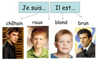 Je suis… Il est… châtain roux blond brun 