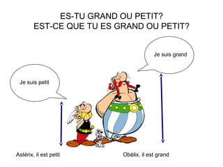 ES-TU GRAND OU PETIT?
EST-CE QUE TU ES GRAND OU PETIT?
Je suis grand
Je suis petit
Astérix, il est petit Obélix, il est grand
 