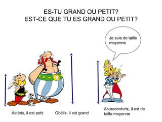 ES-TU GRAND OU PETIT?
EST-CE QUE TU ES GRAND OU PETIT?
Astérix, il est petit Obélix, il est grand
Je suis de taille
moyenne
Asuracenturix, il est de
taille moyenne
 