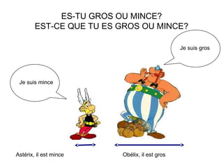 ES-TU GROS OU MINCE?
EST-CE QUE TU ES GROS OU MINCE?
Je suis gros
Je suis mince
Astérix, il est mince Obélix, il est gros
 