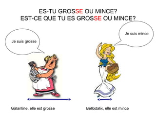 ES-TU GROSSE OU MINCE?
EST-CE QUE TU ES GROSSE OU MINCE?
Je suis grosse
Je suis mince
Galantine, elle est grosse Bellodalix, elle est mince
 