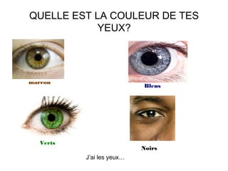 QUELLE EST LA COULEUR DE TES
YEUX?
Bleus
Verts
marron
Noirs
J’ai les yeux…
 