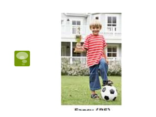 Description physique