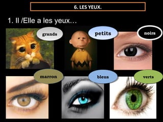 noirsnoirspetitspetitsgrandsgrands
marronmarron bleusbleus vertsverts
6. LES YEUX.
1. Il /Elle a les yeux…
 