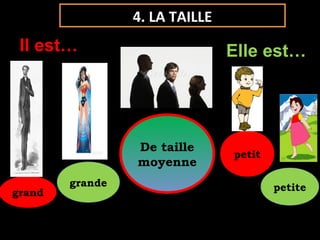 petitpetit
grandegrande petitepetite
grandgrand
De taille
moyenne
De taille
moyenne
4. LA TAILLE
Il est… Elle est…
 