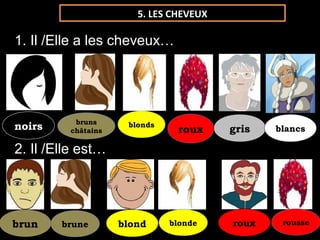 bruns
châtains
bruns
châtainsnoirsnoirs blondsblonds
rouxroux grisgris blancsblancs
brunbrun brunebrune blondblond blondeblonde rouxroux rousserousse
5. LES CHEVEUX
1. Il /Elle a les cheveux…
2. Il /Elle est…
 