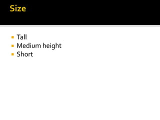  Tall
 Medium height
 Short
 