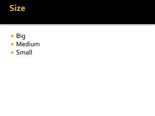  Big
 Medium
 Small
 