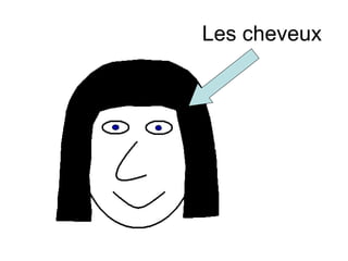 Les cheveux 