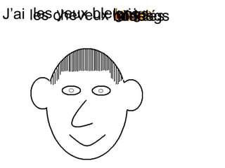 J’ai les yeux bleus les cheveux noirs bruns blonds gris roux longs mi-longs courts raides bouclés 