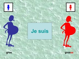 Je suis gros gros se 