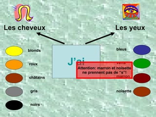 J’ai blonds roux châtains gris noirs bleus verts marron noisette Les cheveux Les yeux Attention: marron et noisette ne prennent pas de “s”! 