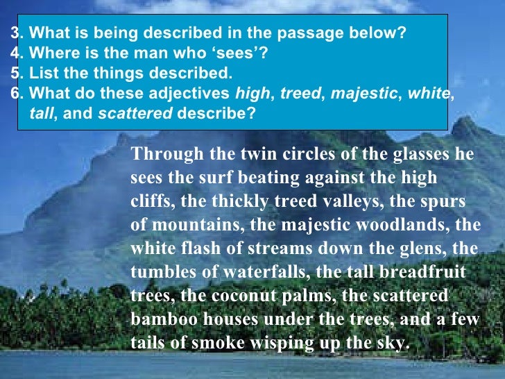Description of a beach essay