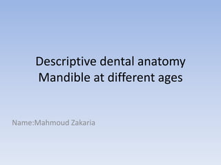 Descriptive dental anatomy
Mandible at different ages
Name:Mahmoud Zakaria
 
