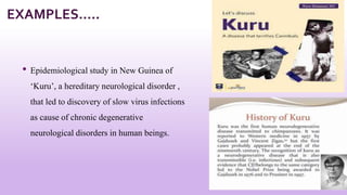 • Epidemiological study in New Guinea of
‘Kuru’, a hereditary neurological disorder ,
that led to discovery of slow virus infections
as cause of chronic degenerative
neurological disorders in human beings.
10
EXAMPLES…..
 
